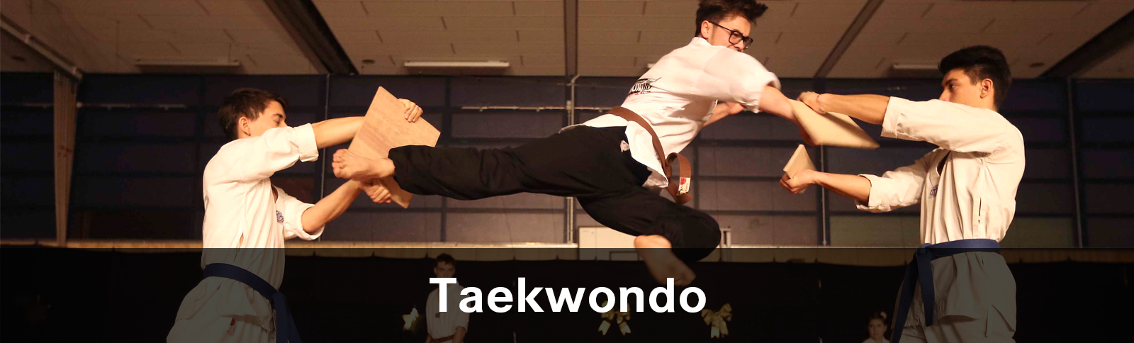 Taekwondo